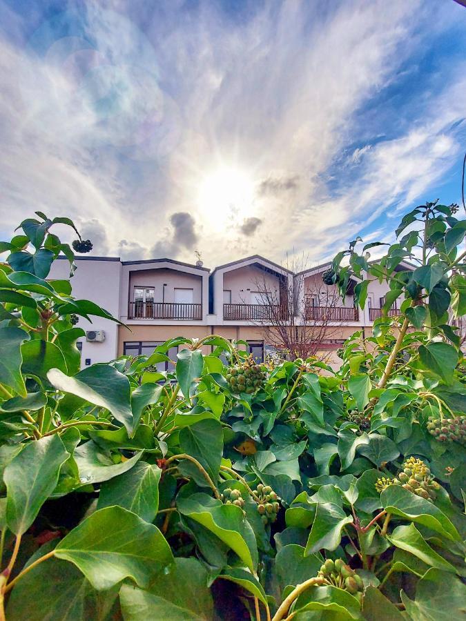 Ferienwohnung La Ginestra C&B House Castel Di Sangro Exterior foto